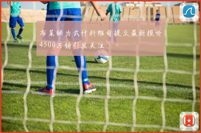 布莱顿为武什科维奇提交最新报价4500万镑引发关注
