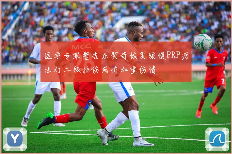 医学专家警告东契奇恢复缓慢PRP疗法对二级拉伤或将加重伤情